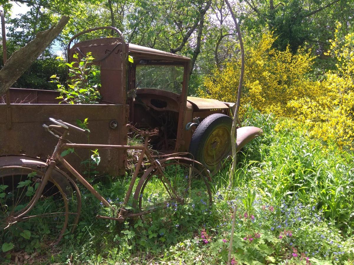 La Ferme Les Mamours La Bastide-l'Eveque ภายนอก รูปภาพ